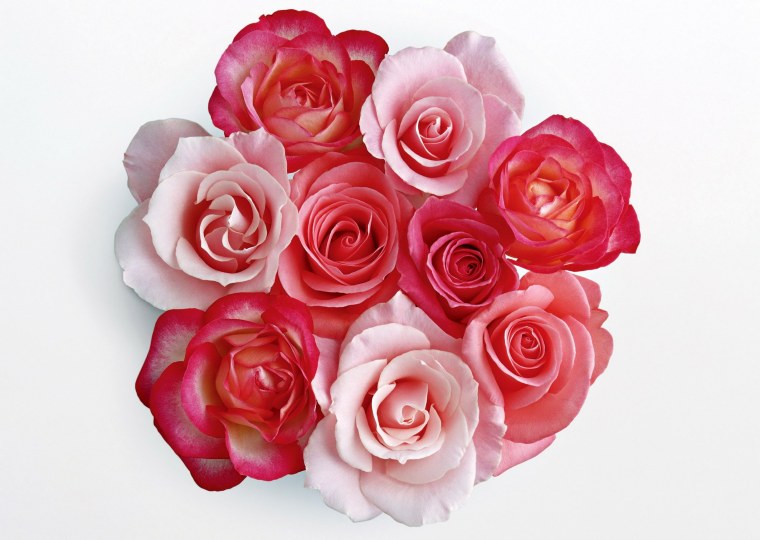 Розочки розовые