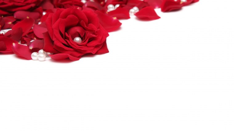 Красный цветок