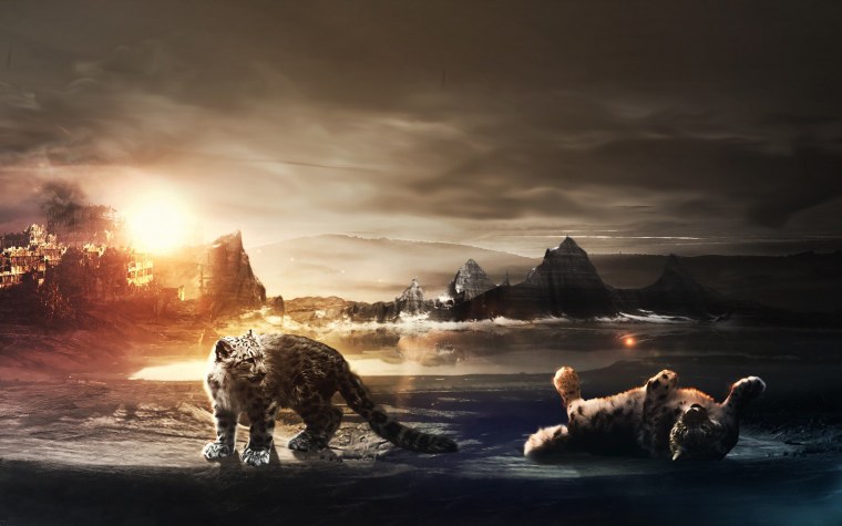 Уникальные обои на рабочий стол