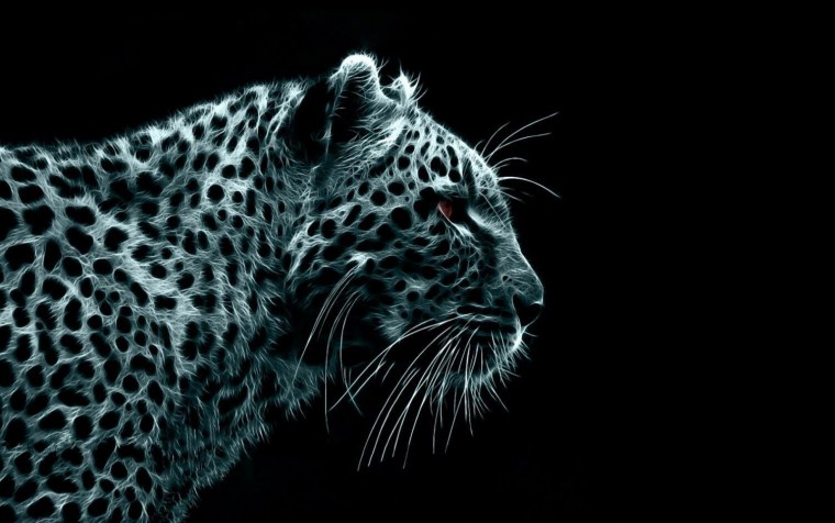 Картины на черном фоне