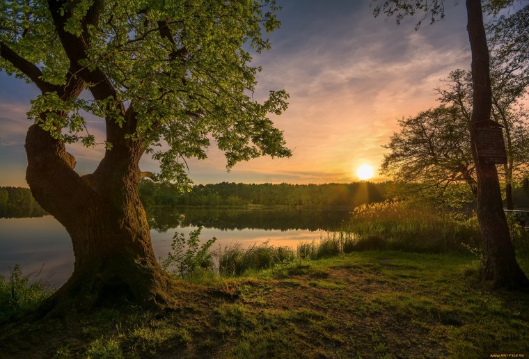 Русская природа