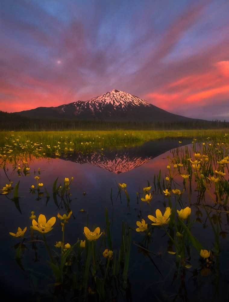 Марк Адамус