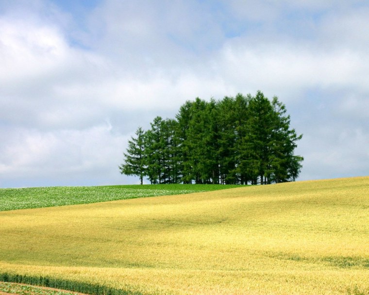 Природа простая