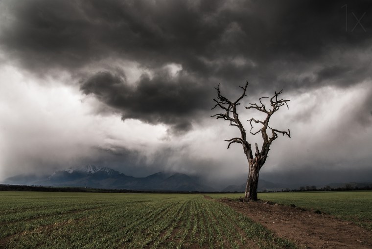 Агрессивная природа