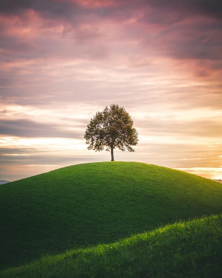 Красно зеленый пейзаж