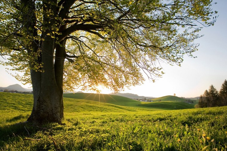 Профессиональные фотографии природы