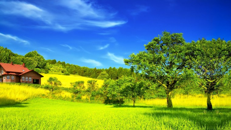 Красивая природа лето