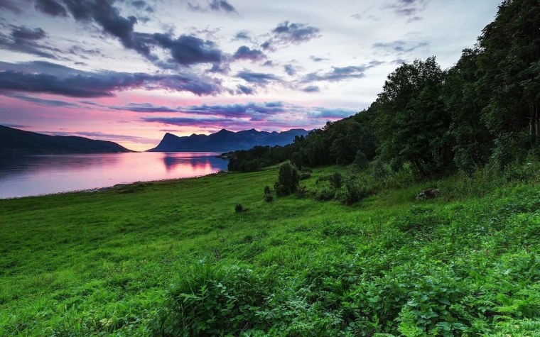 Природа настоящая