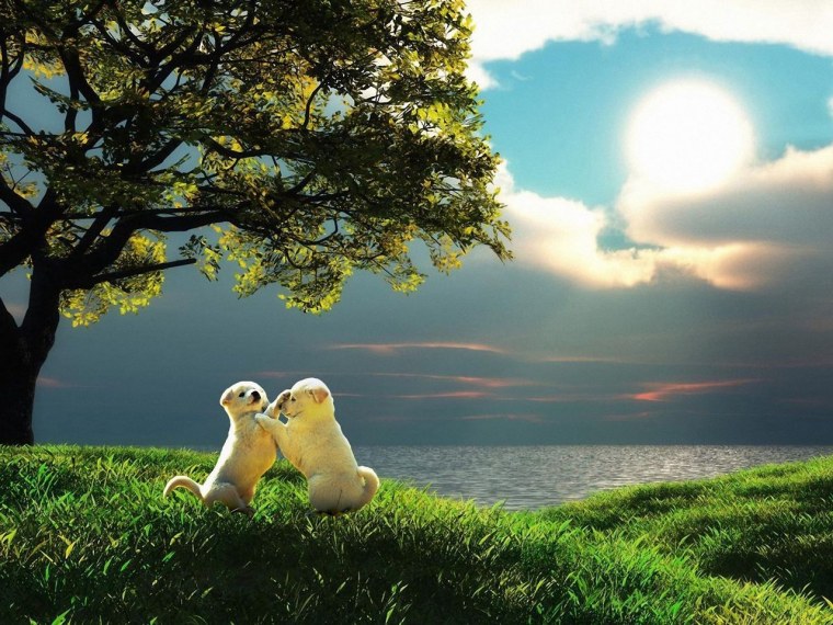 Спокойная природа