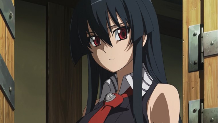 Убийца акаме акаме