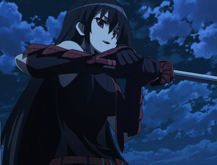 Убийца акаме акаме