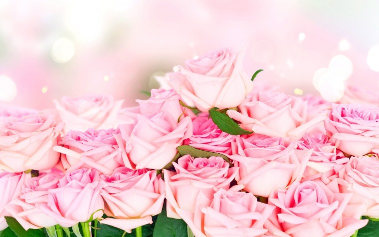 Цветочный фон розы