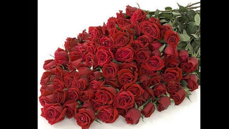 С днём рождения Светочка