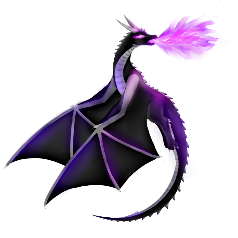 ЭНДЕР дракон