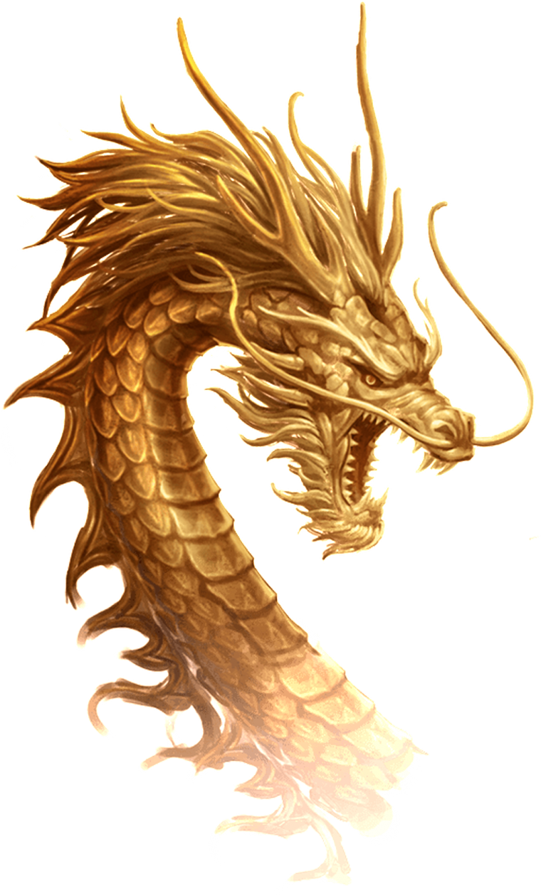 Золотой дракон гнедной дракон