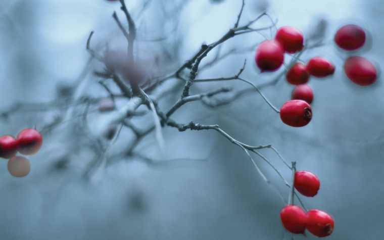 Осень ноябрь