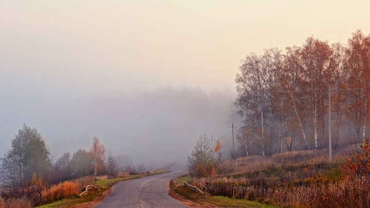 Пасмурная поздняя осень