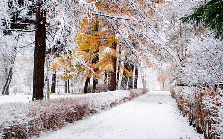 Ранняя зима