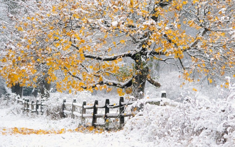 С началом зимы