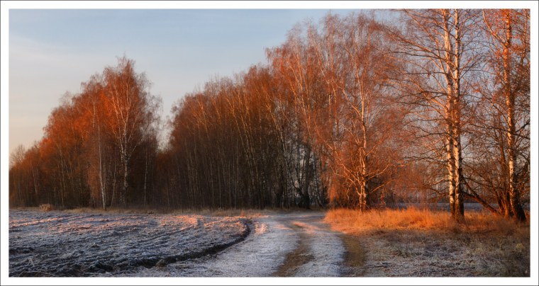 Красные ягоды Эстетика