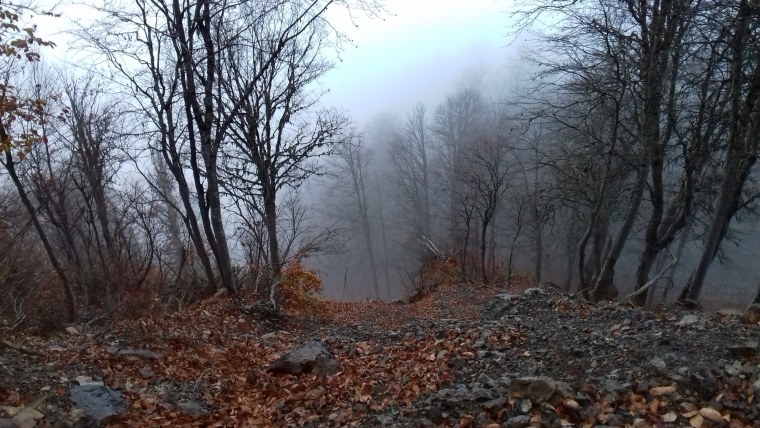 Сухая поздняя осень