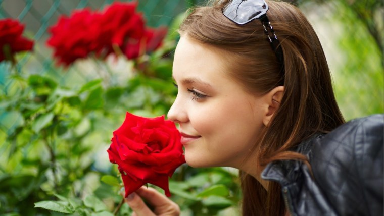 Девушка с розой