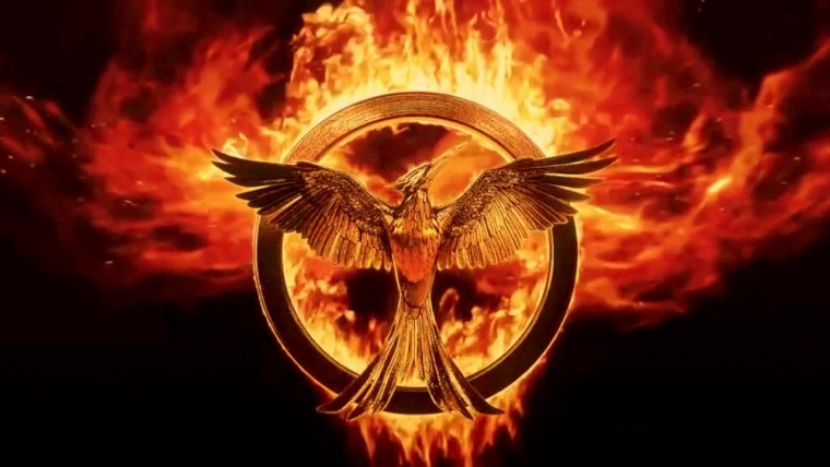 Голодные игры Сойка пересмешница символ