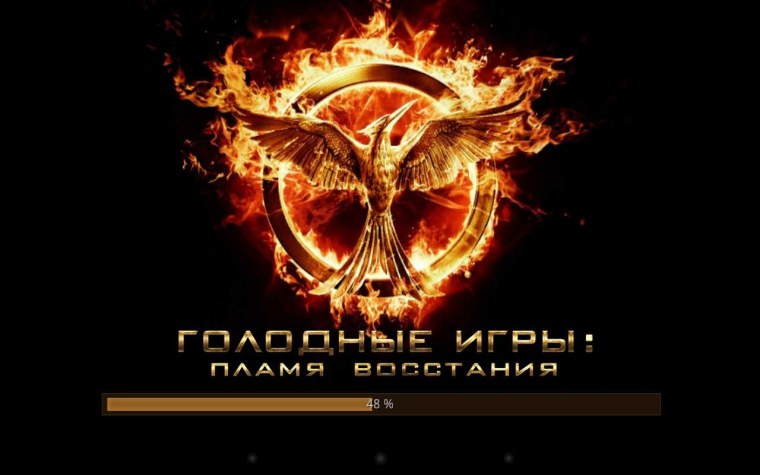 Голодные игры Сойка пересмешница Постер