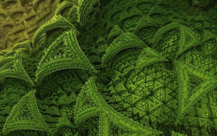 Фракталы в природе