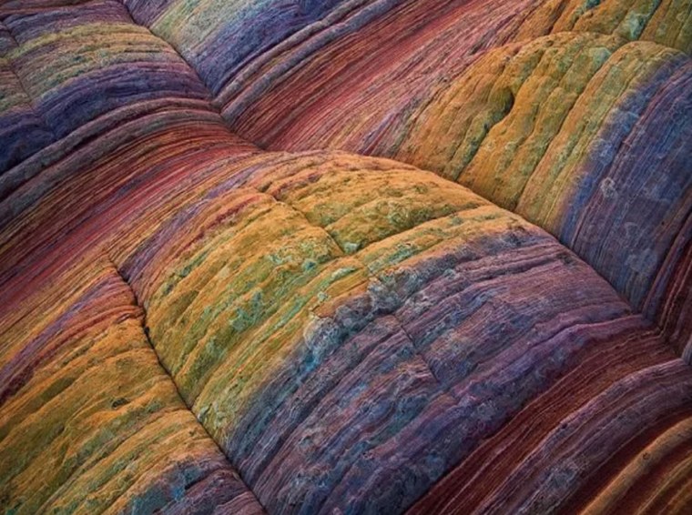 Паттерны в природе