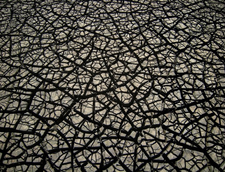 Паттерны в природе