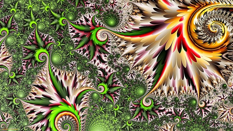 Узоры созданные природой