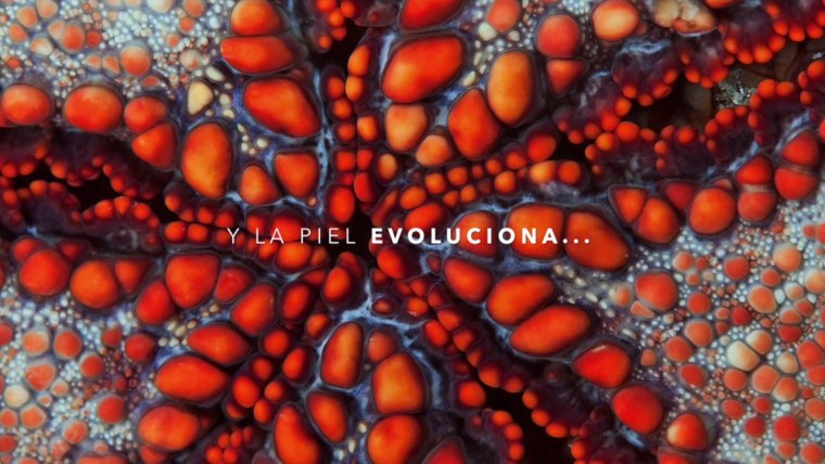 Паттерны в природе