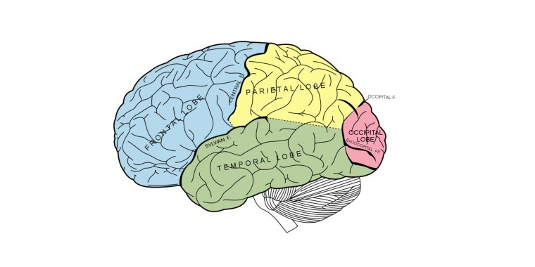 Нахождение числа по доле и доли по числу