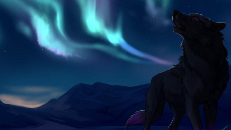 Волк на рабочий стол