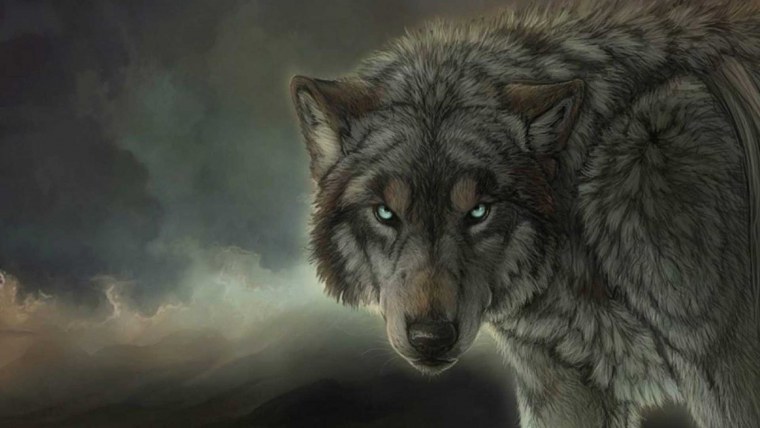 Волк арт