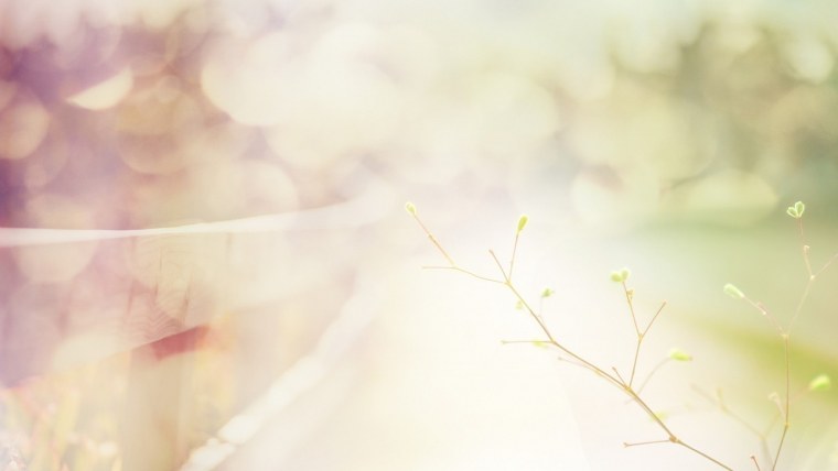 Свадебный фон для коллажа