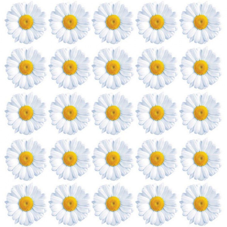 Раздаточный материал цветочки