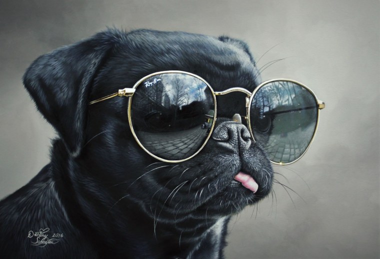 Мопс в очках