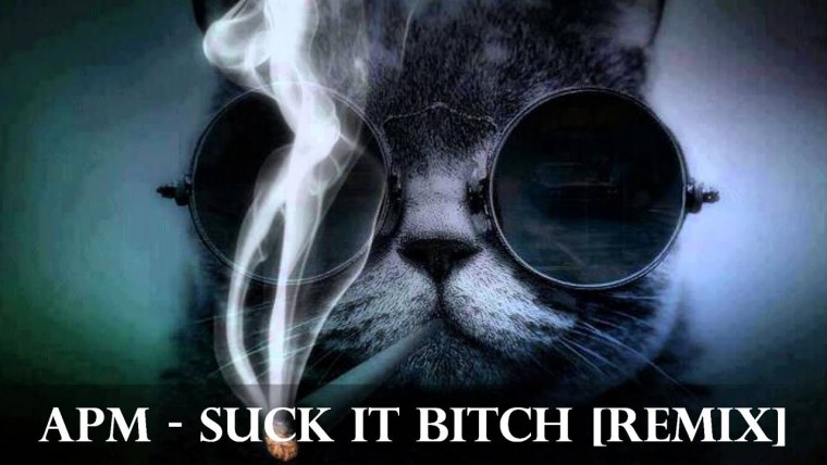 Кот в очках