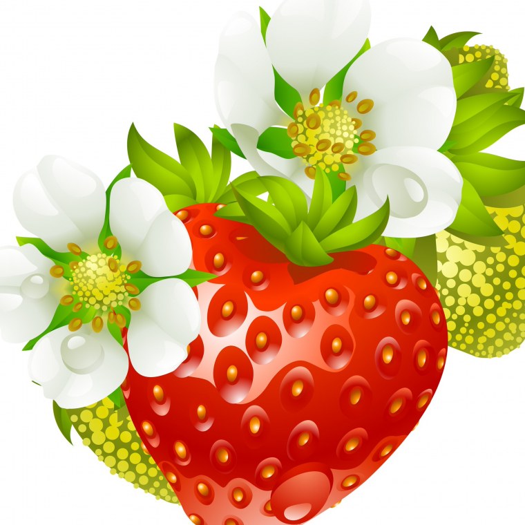 Сказочные ягоды