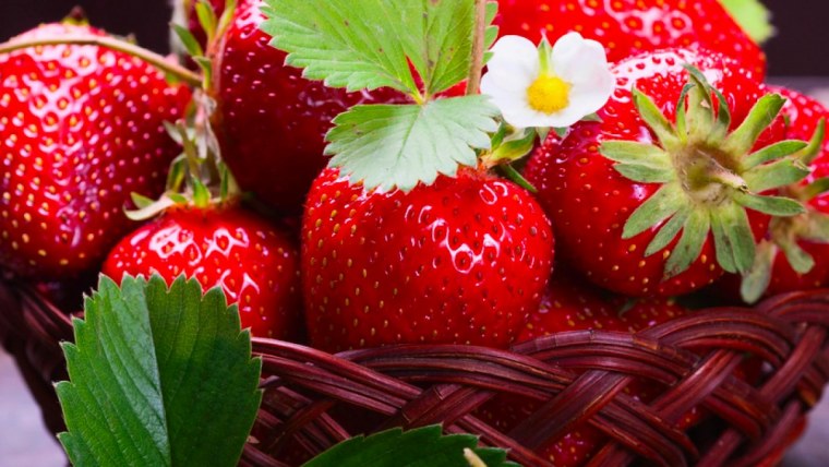 Земляника для дошкольников