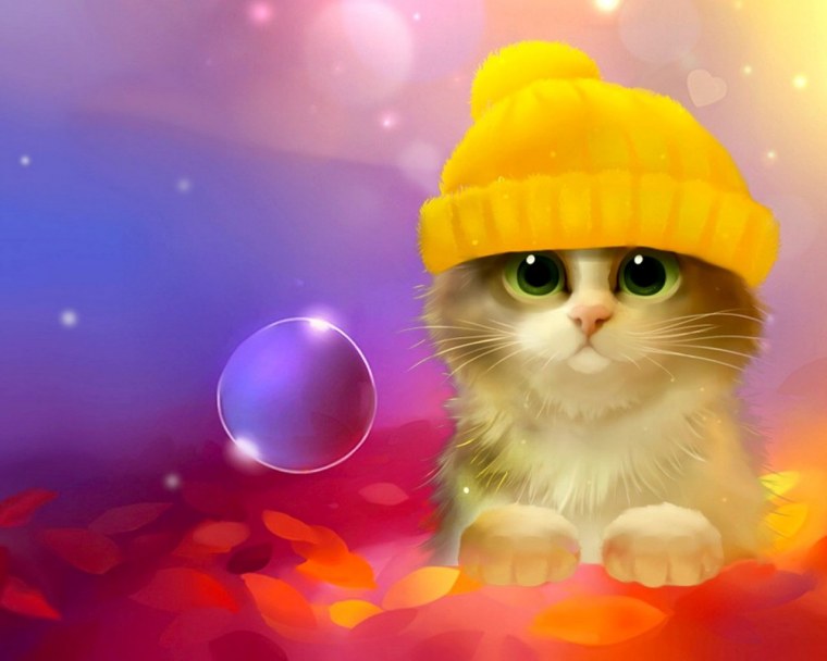 Кот в шапке