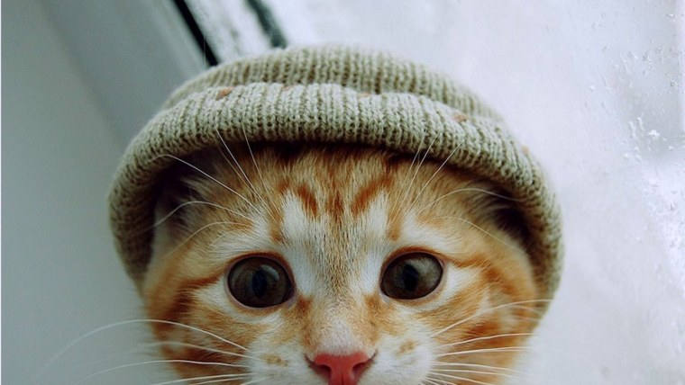 Прикольные авы