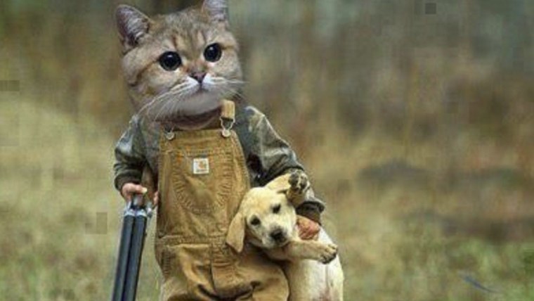 Животные с оружием