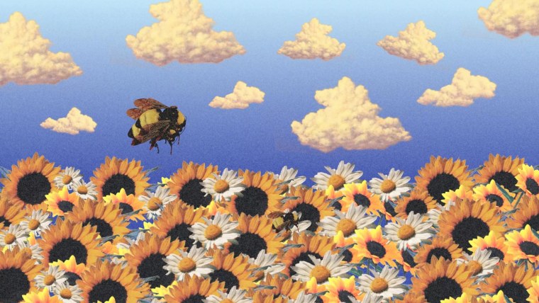 Tyler the creator обои