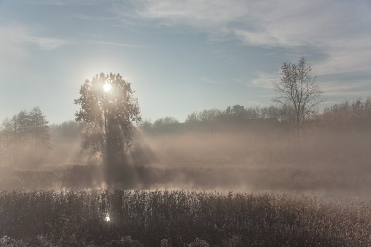 Духи Фогги от Кати Клэп