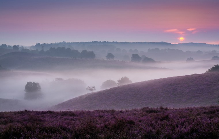 Нежность в ладонях