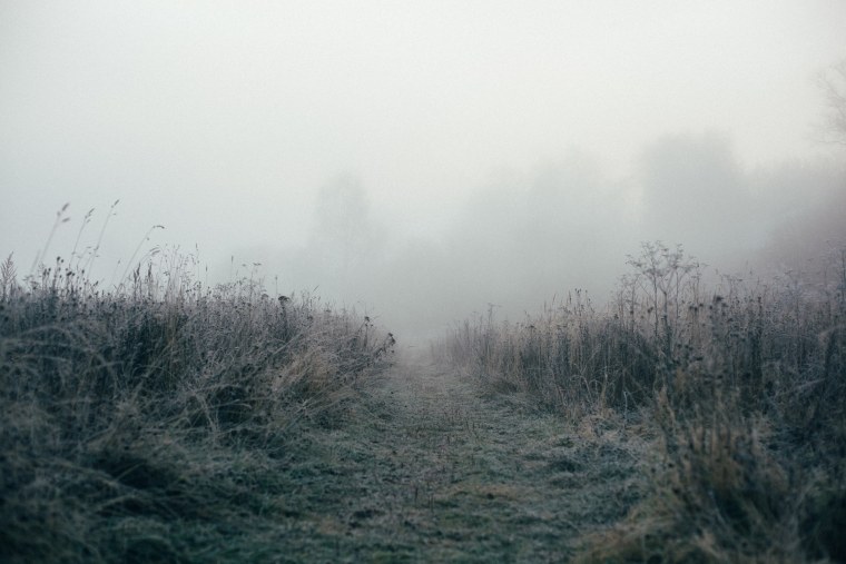 Туман Лыткарино