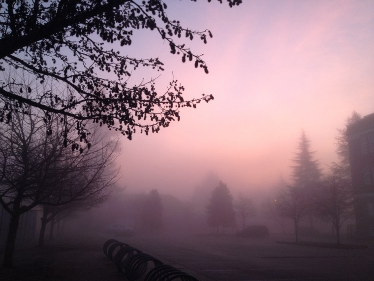 Туман в поле